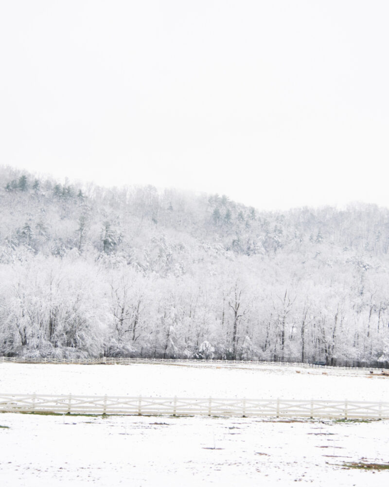 A Winter Walk