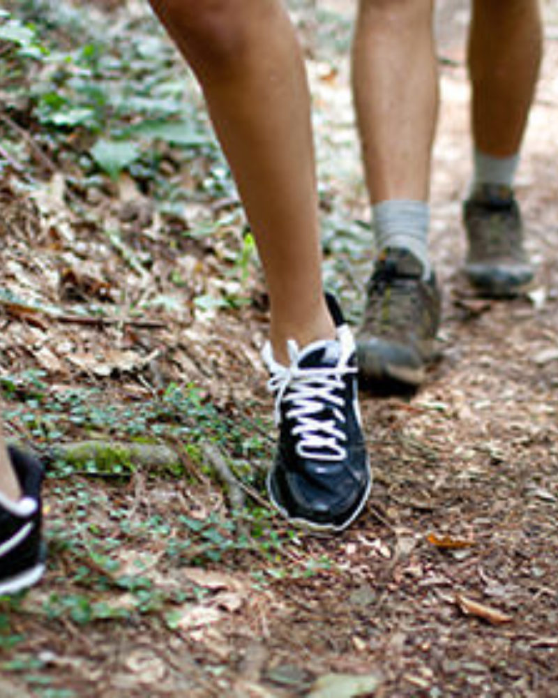 Keep Your Eyes up this Fall