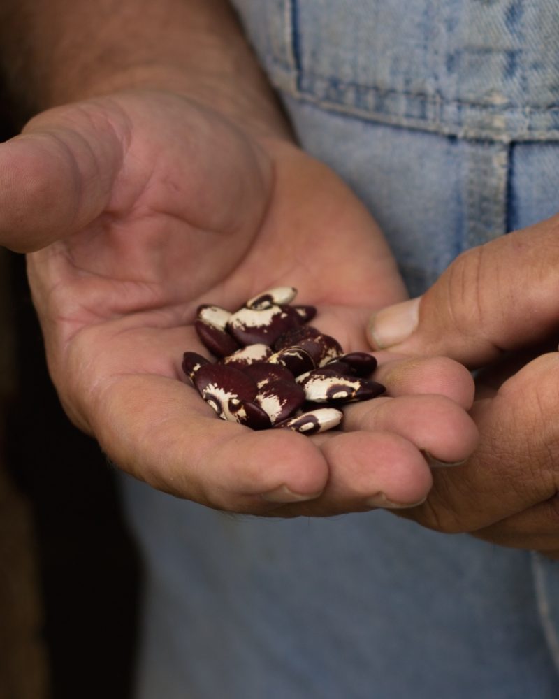 Seed Collecting in Far Away Places
