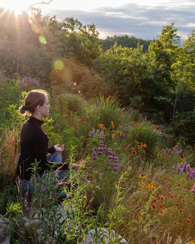 Sunlight Meditation