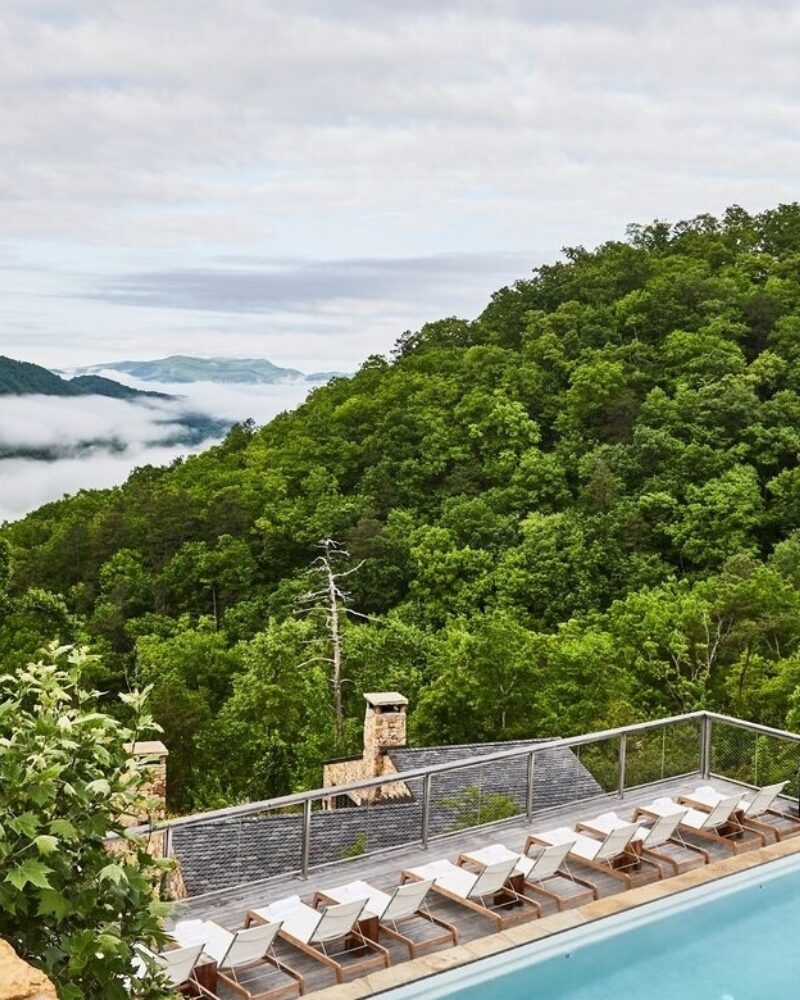 A Day at Blackberry Mountain