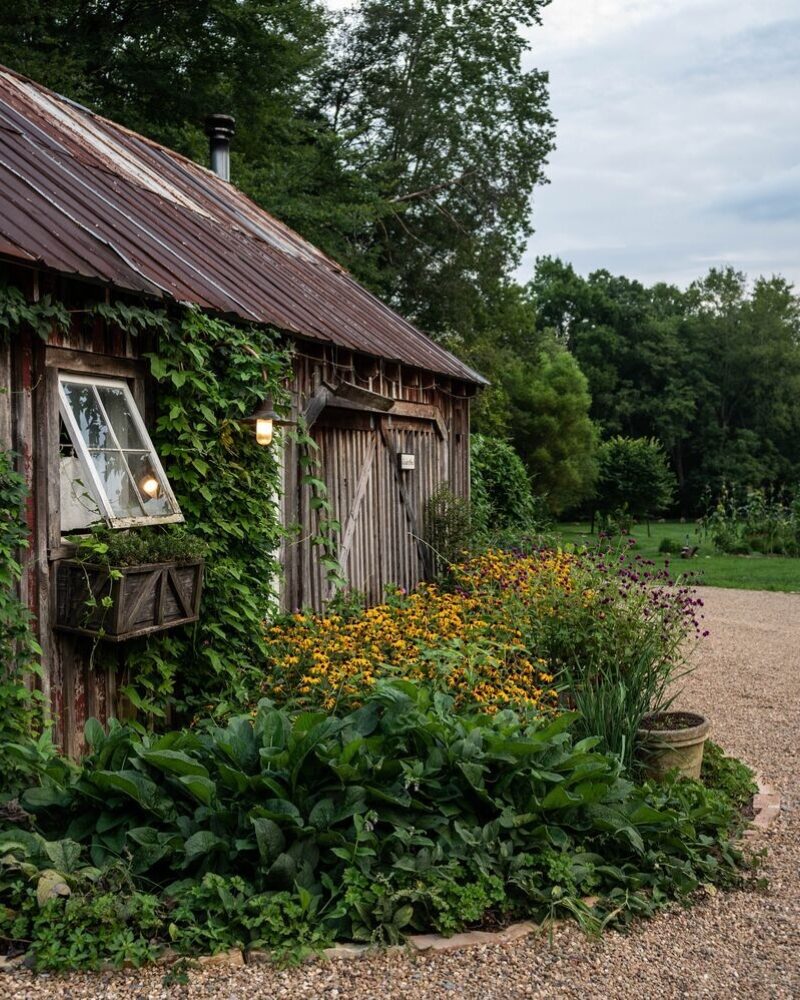 An Early Hint of Fall’s Approach