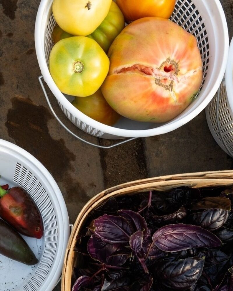 Keeping Our Agricultural History Alive