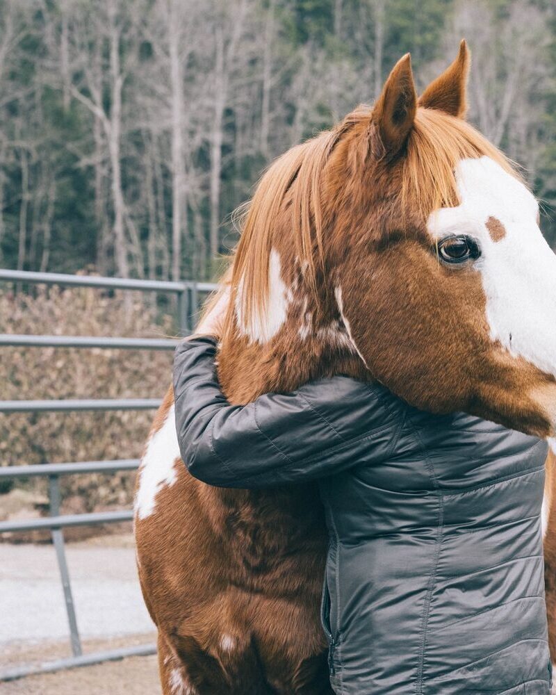 An Unexpected Partner