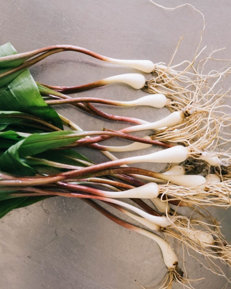 From Ground to Gibson