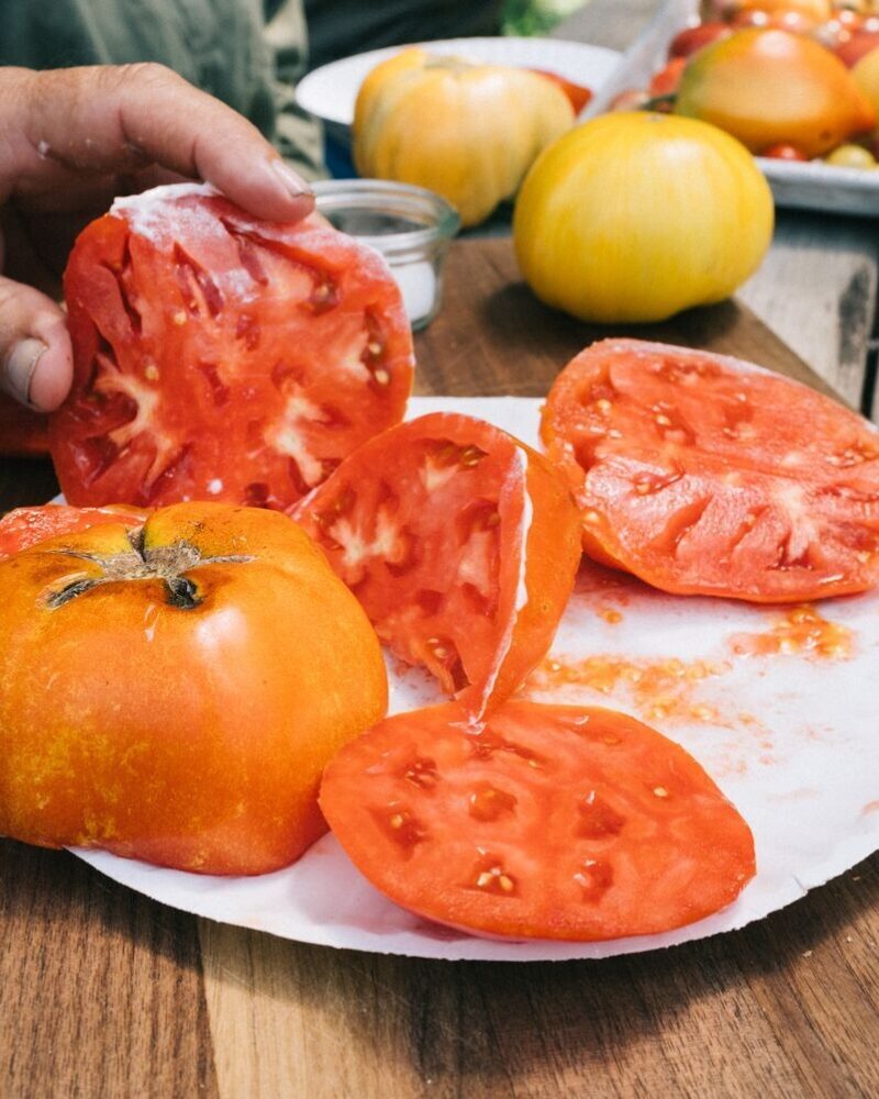 2025 Tomato Varieties