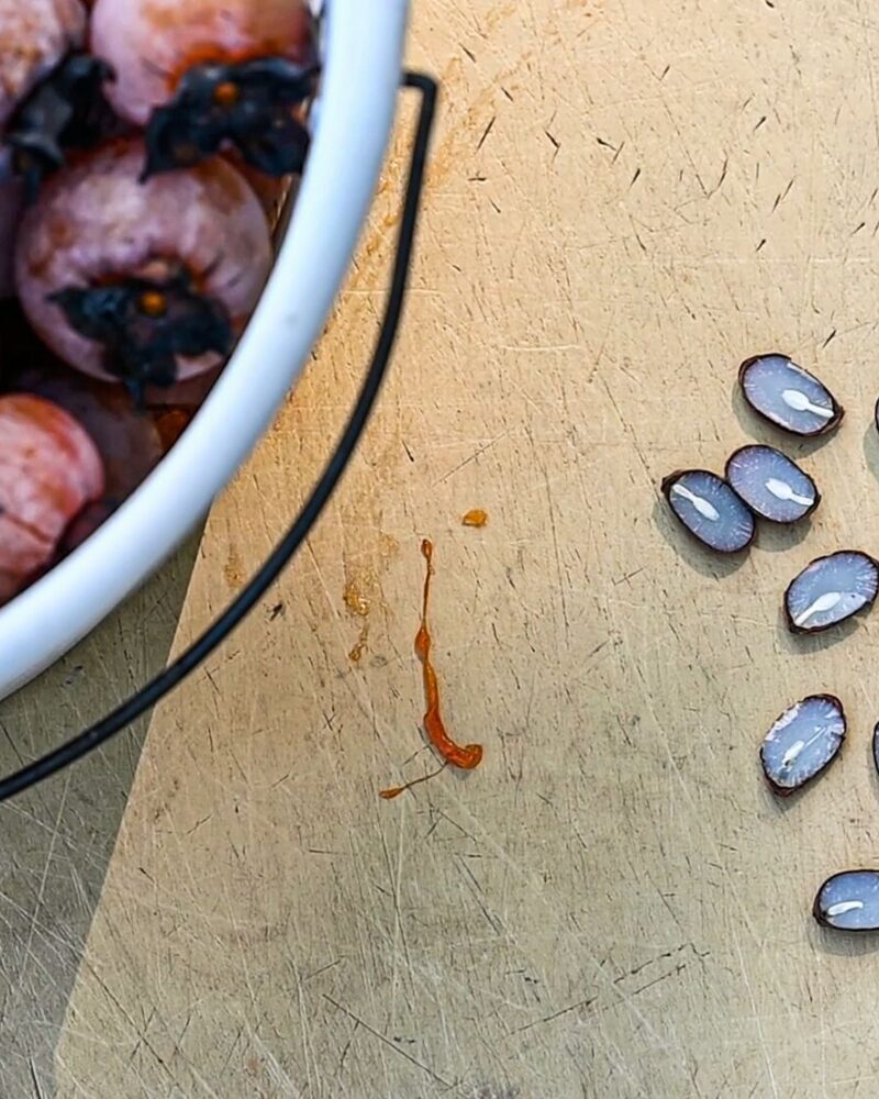 Winter Predictions with Persimmons