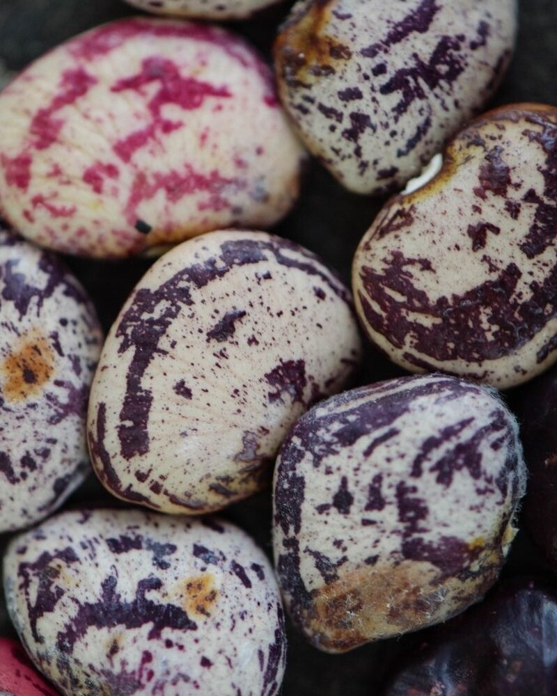 Naming Beans and Field Peas