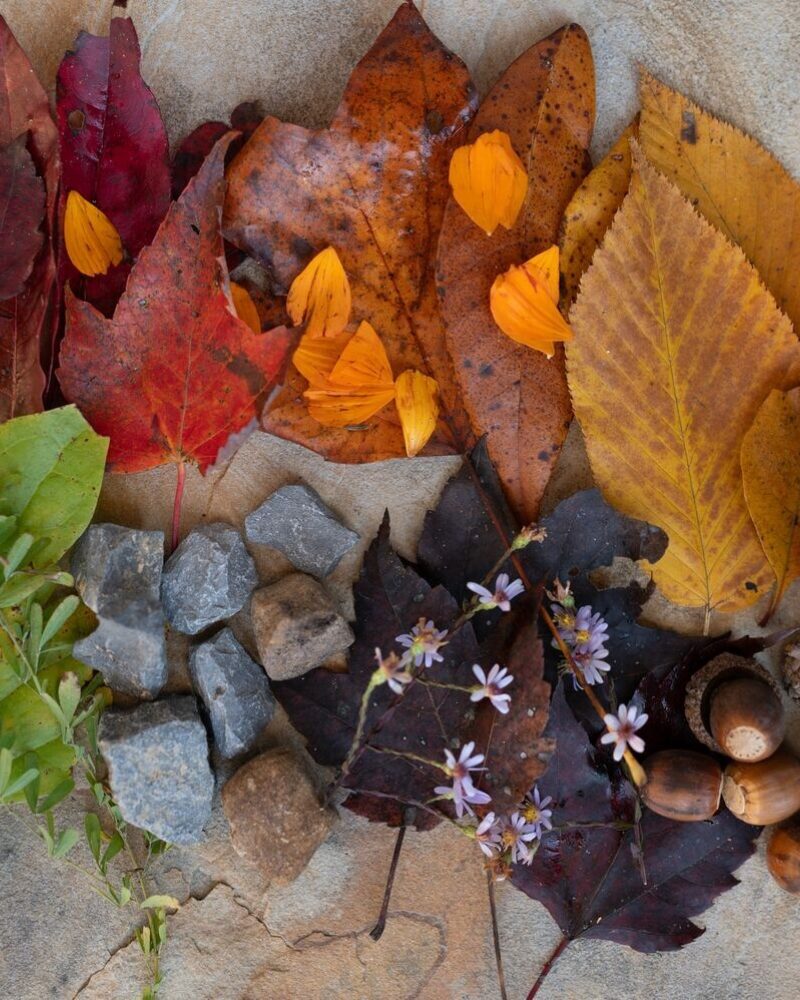 Rainbow Scavenger Hunt