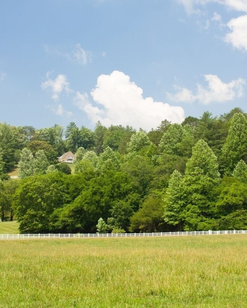 Adventure With a Horse