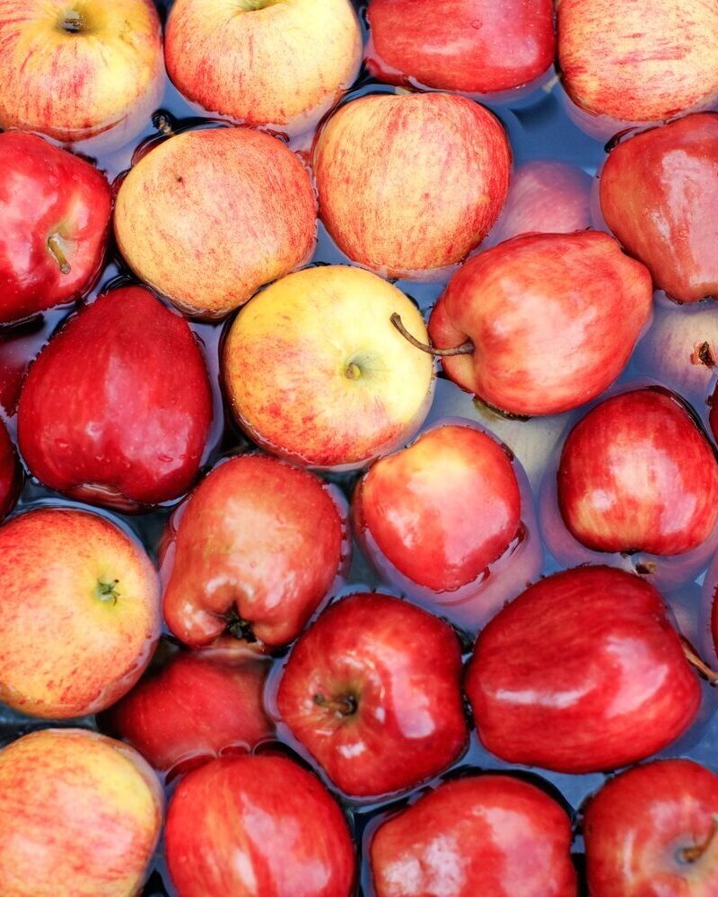 Hand Picked for the Season