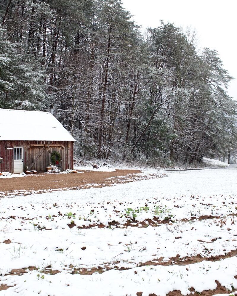 A Winter’s Day in Our Garden Shed