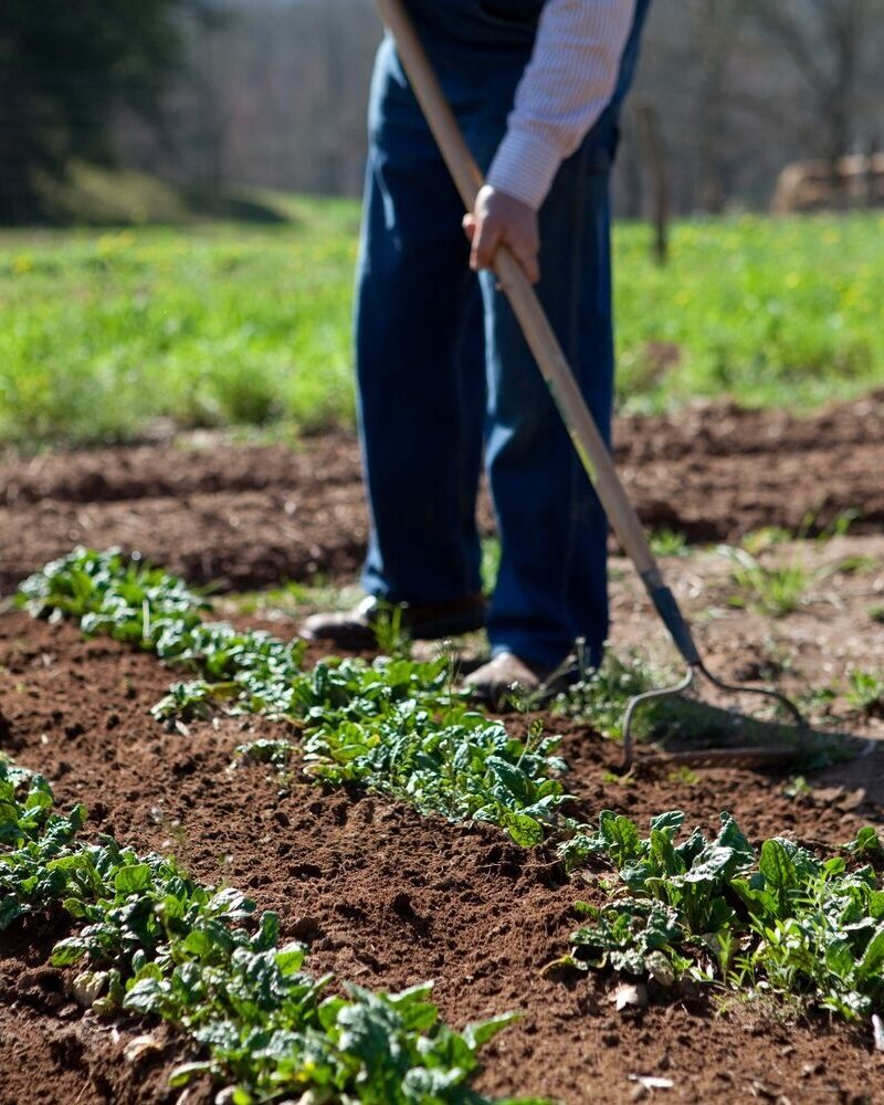 Honoring a Life Well Spent