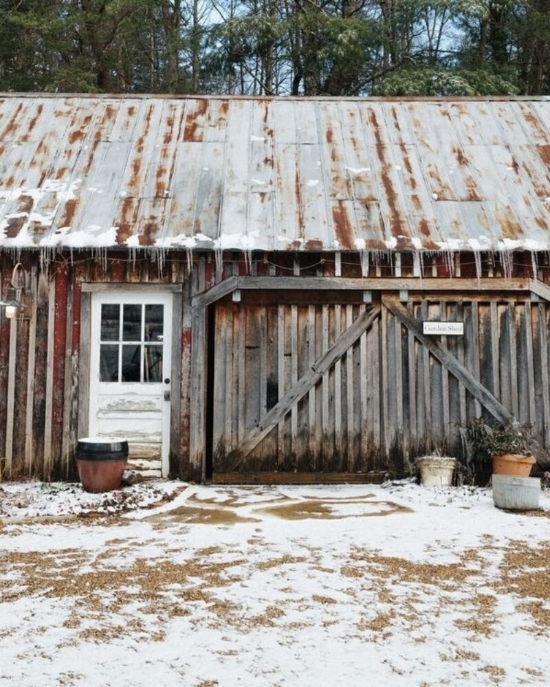 The Gardening Daydreams of the Winter Season