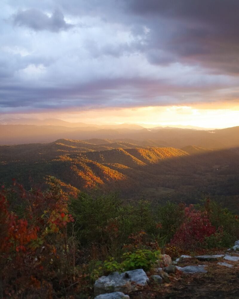 A Panorama of Peaks