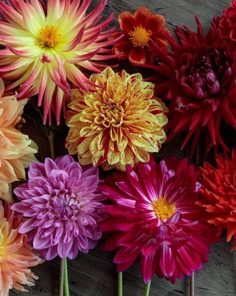 Summer to Fall Floral