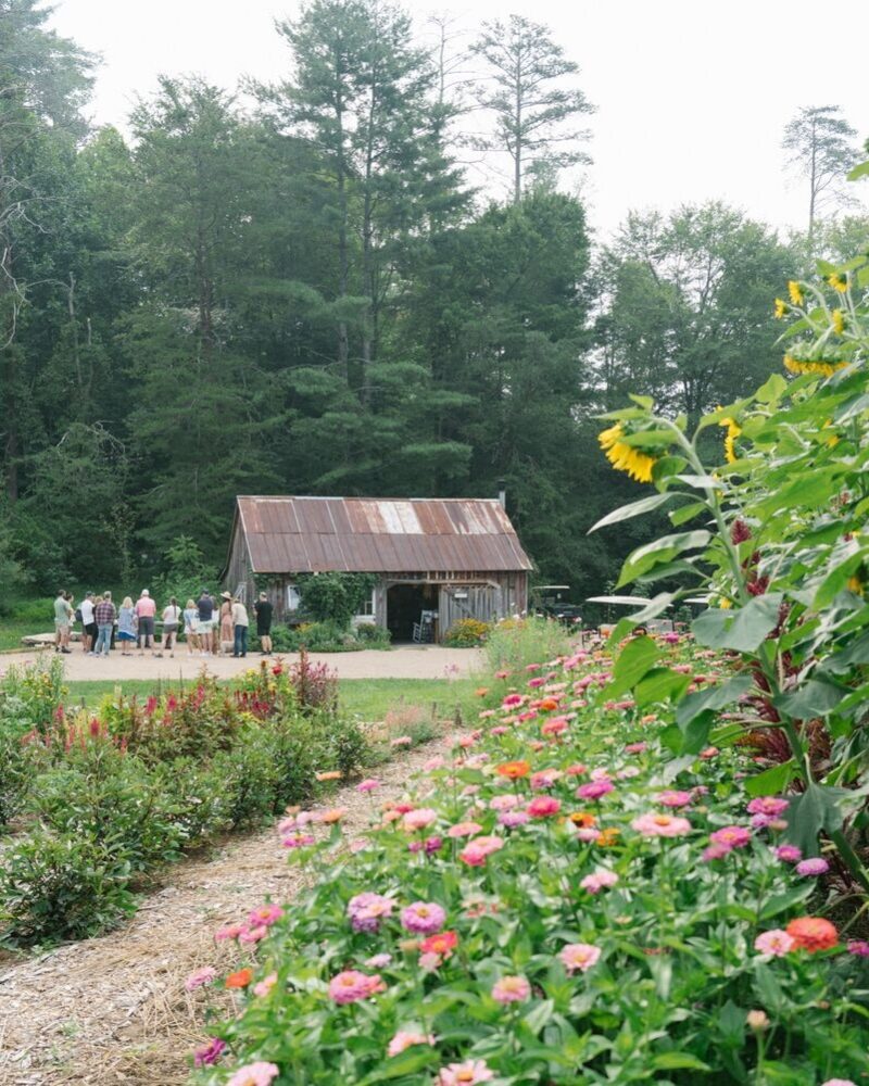 In the Know, Gardening Lingo