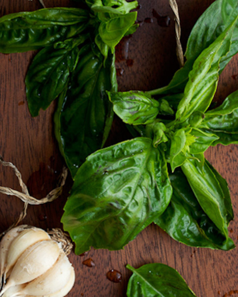 Seeds of Love and Plants From Our Garden