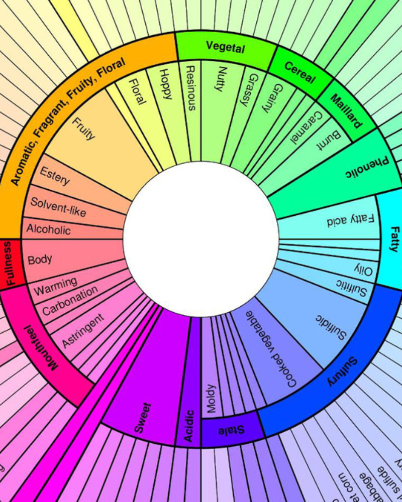 Flavor Wheel