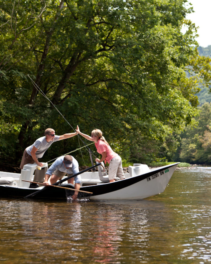 Dog Days and Trout Alternatives