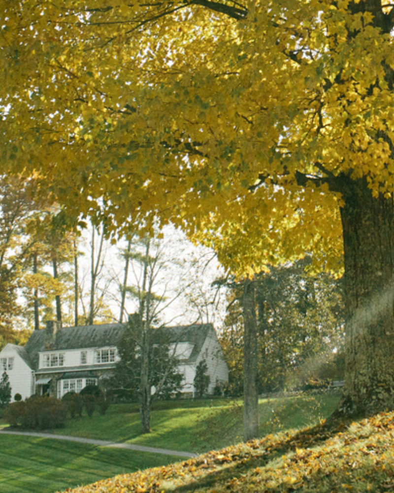 Coming Into Fruition