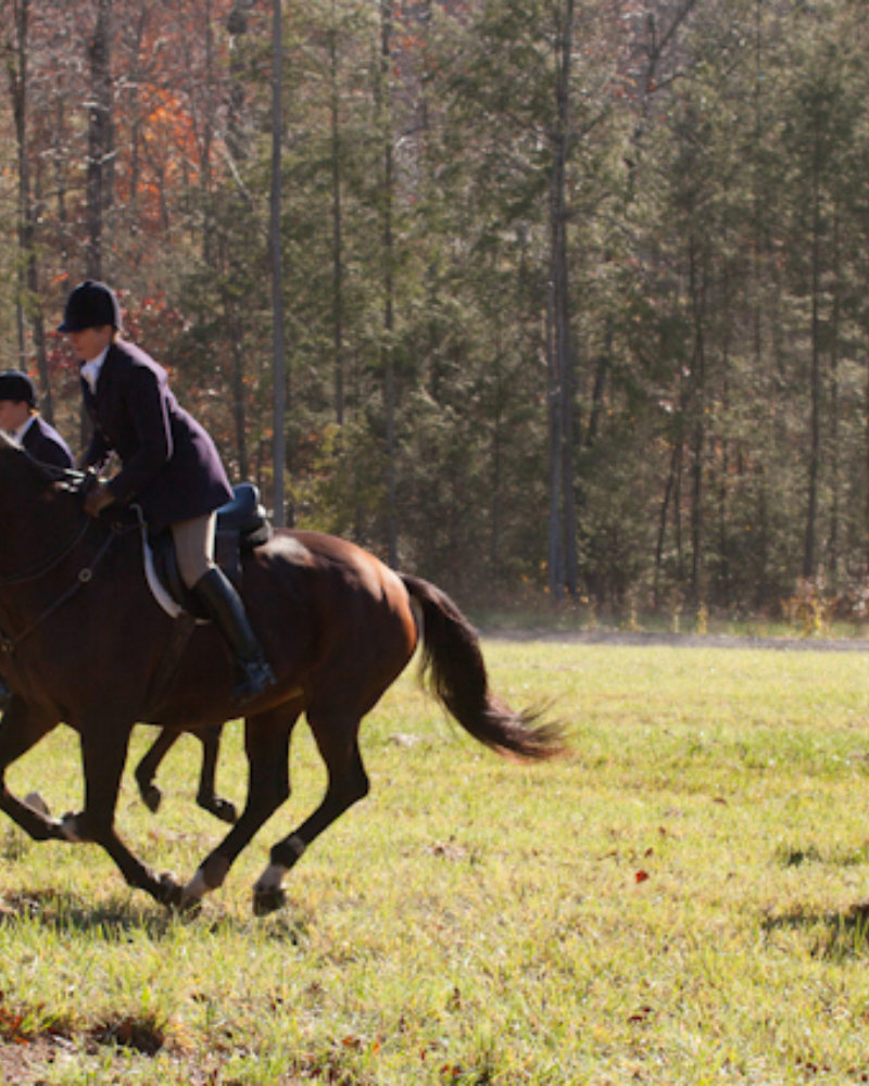 Fall Means Foxhunting to the Thrill Seeker