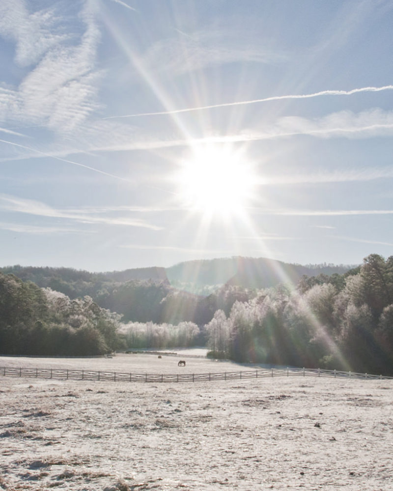 Winter Newsletter