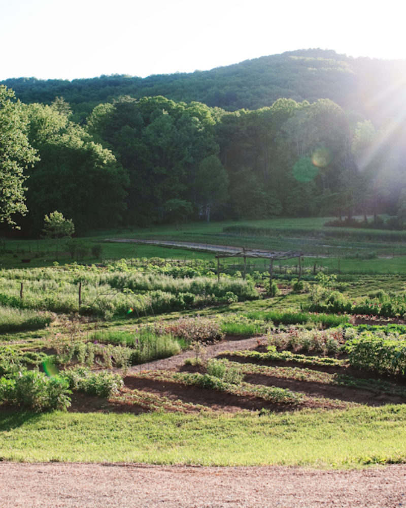 August is Garden Month