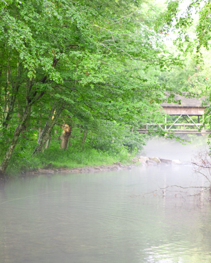 East and West on Hesse Creek...It's all Good at the Farm