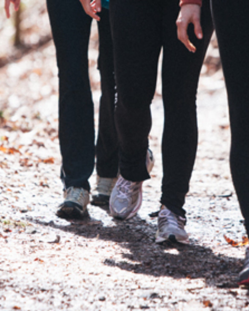 What the Adventure Team Appreciates Most this November!