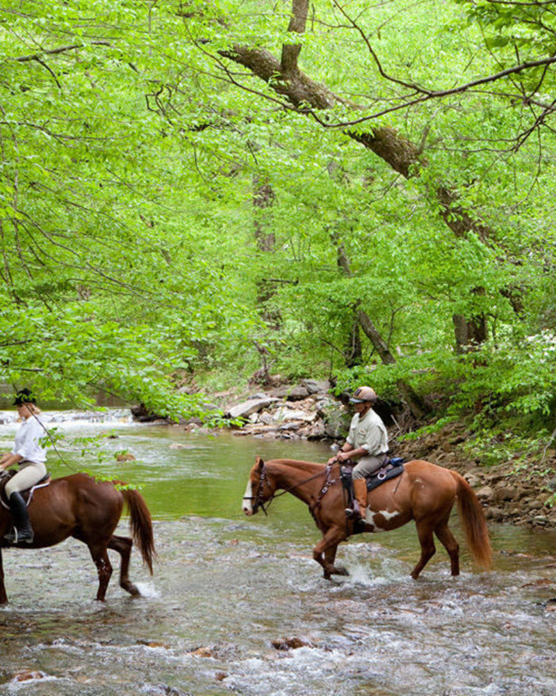 Riding Safely on the Trail