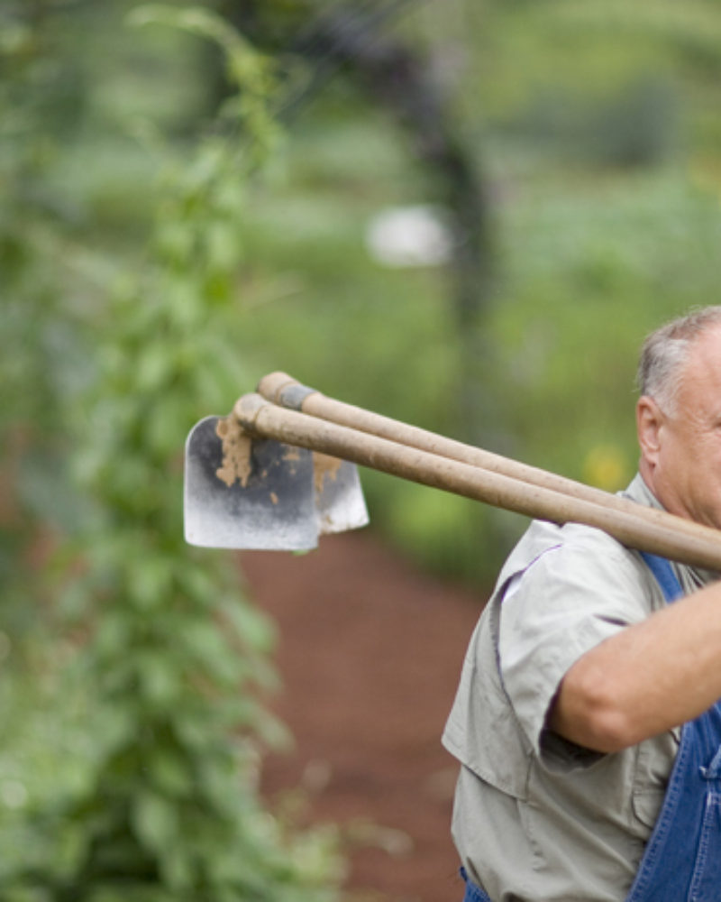 Herb Clabo: A Mountain Legend