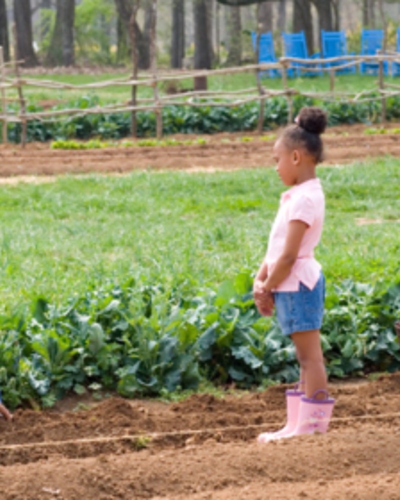 How to Get Your Kids to Eat Their Vegetables