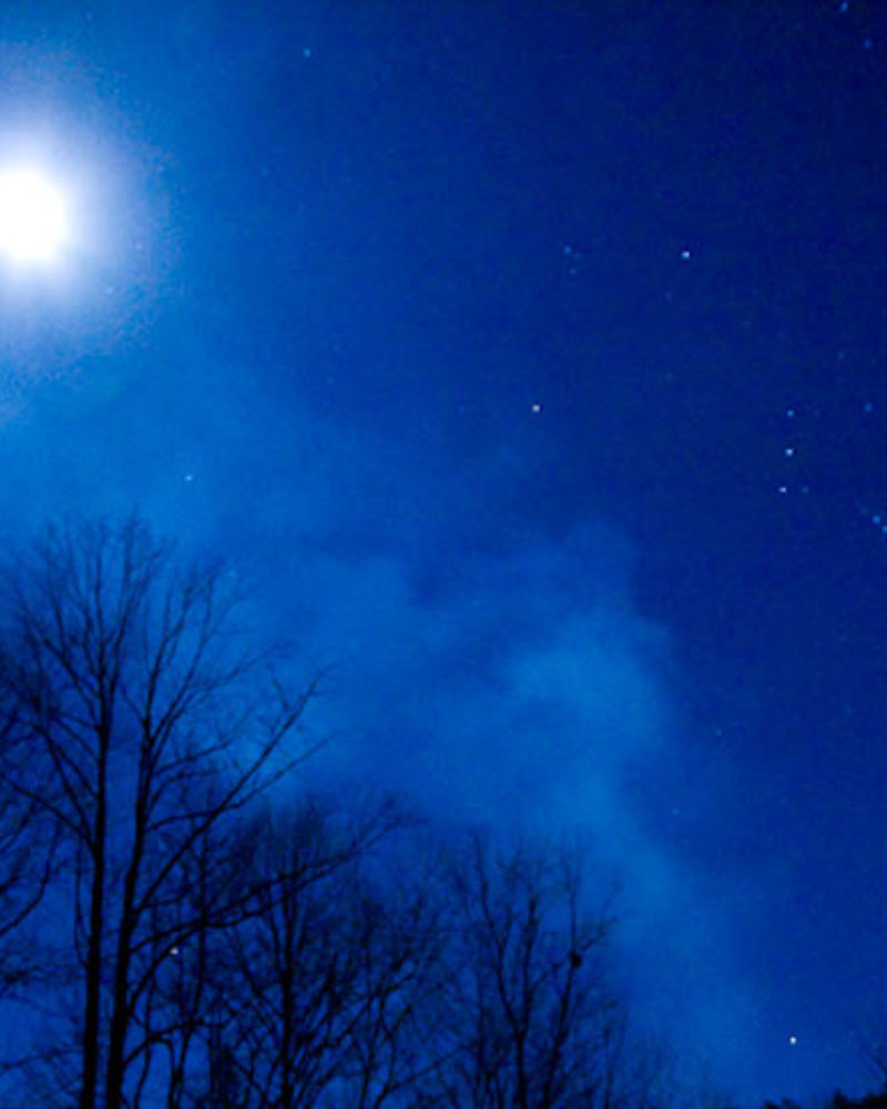Fireflies at Elkmont