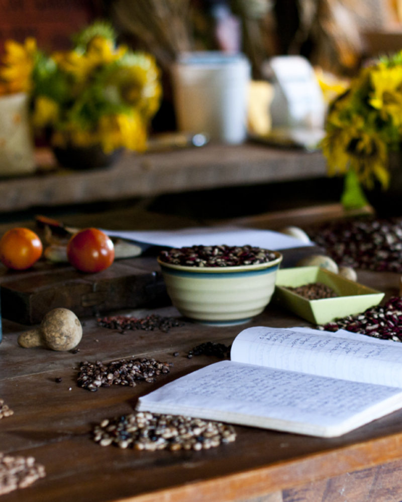 Searching for the Past