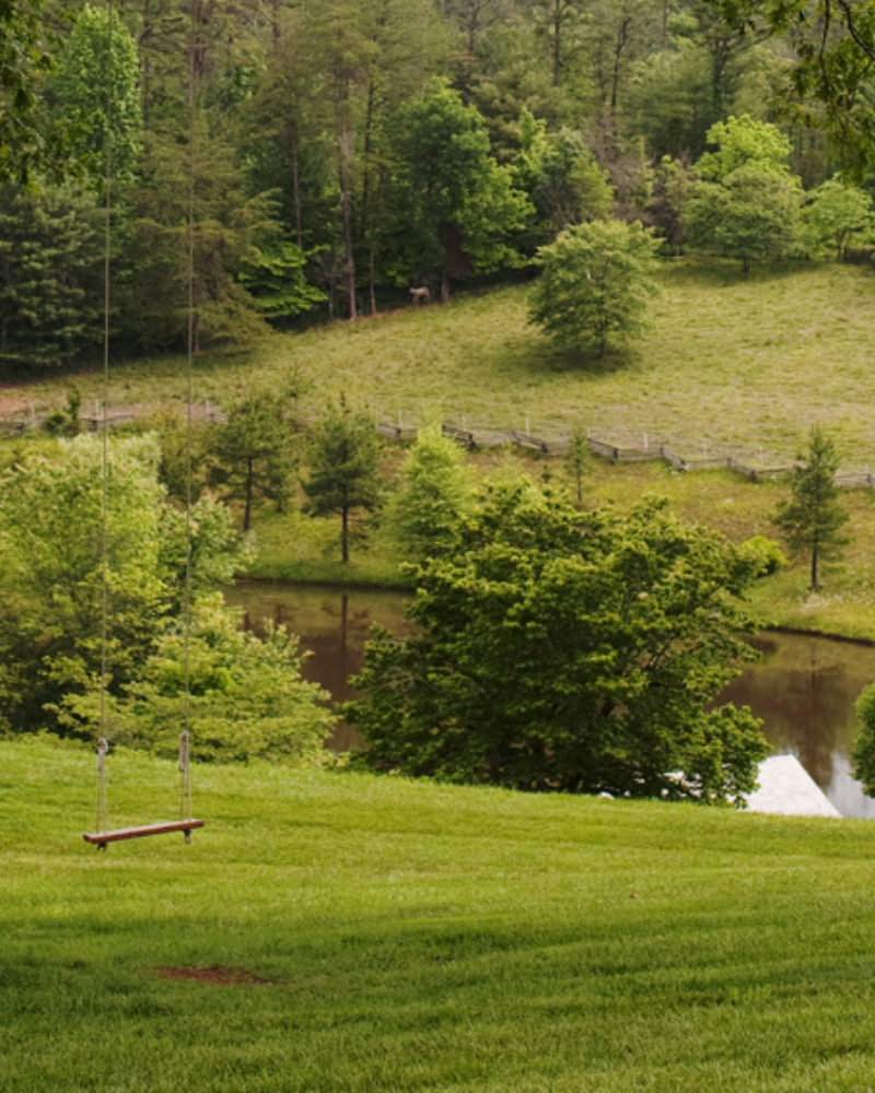 Blackberry Bucket List for May