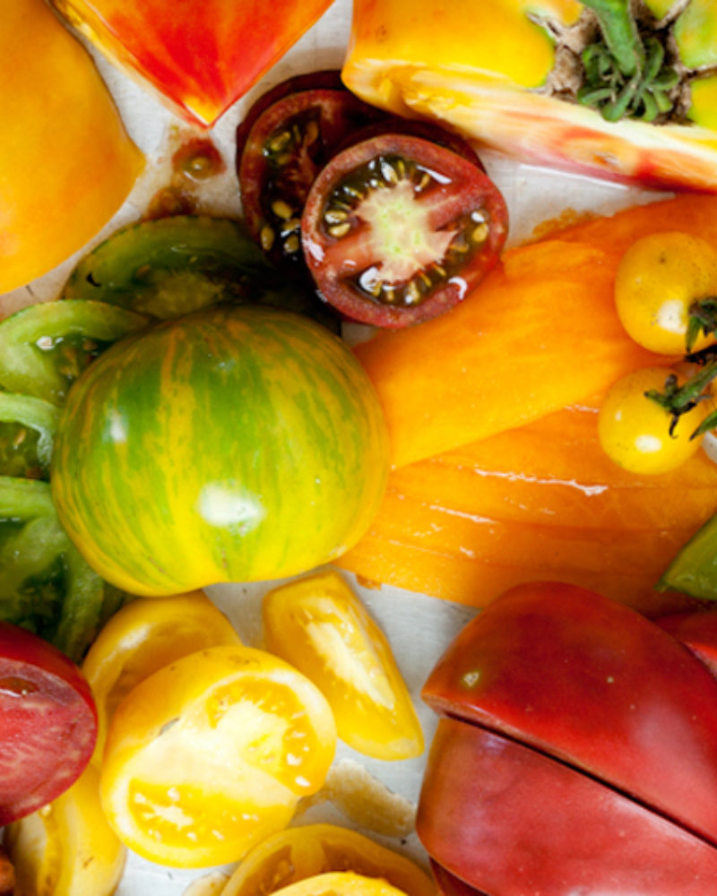 Garden Month Activities