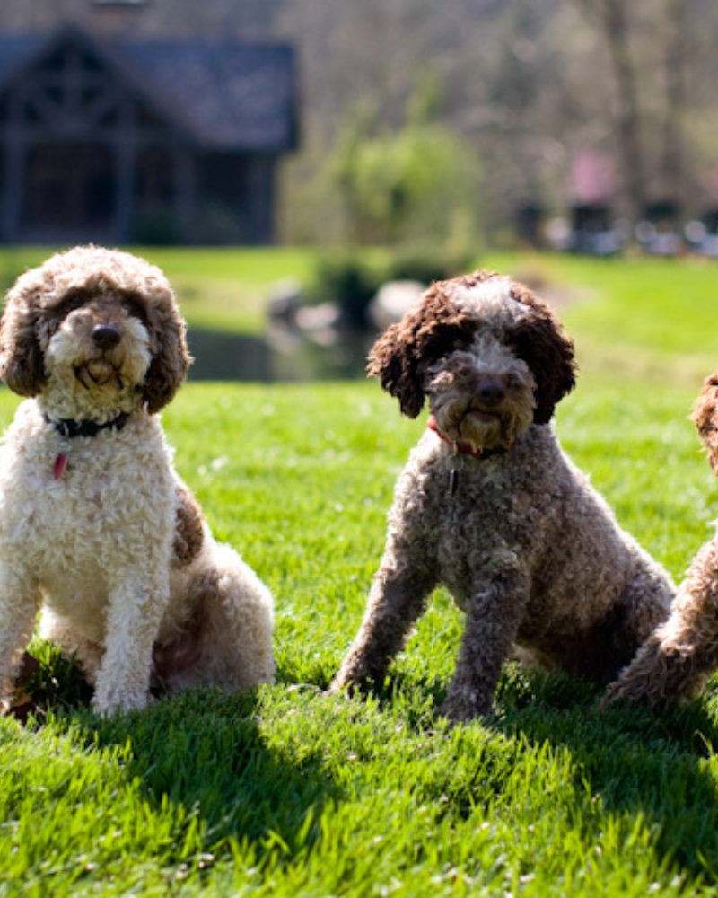 September Bucket List