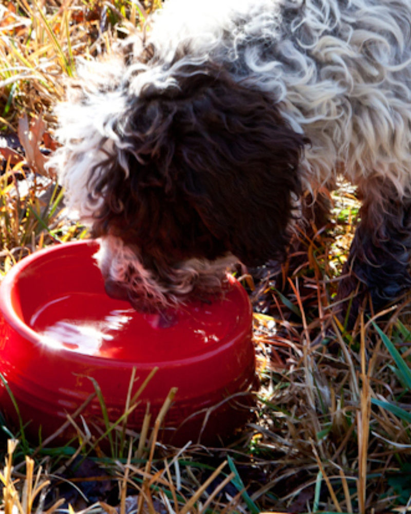 Le Creuset Kitchen Sessions with Garden Manager Jeff Ross