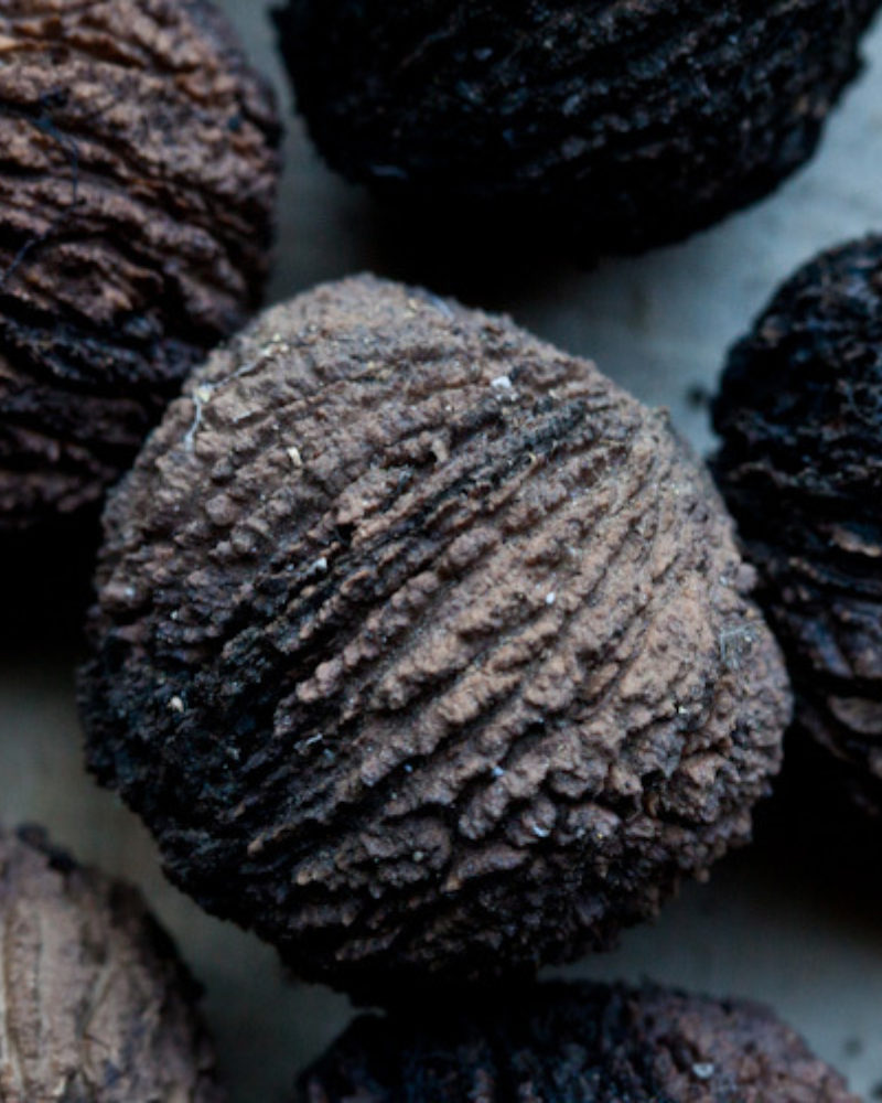 Black Walnuts