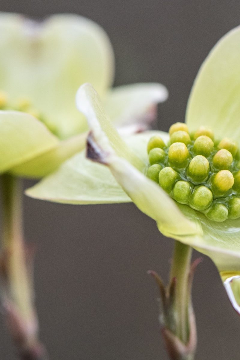 Rainy Day Fun on the Farm