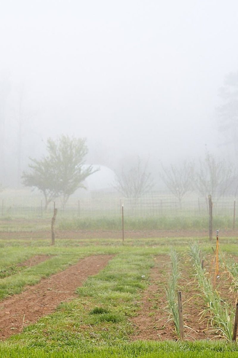Reliance on Rain