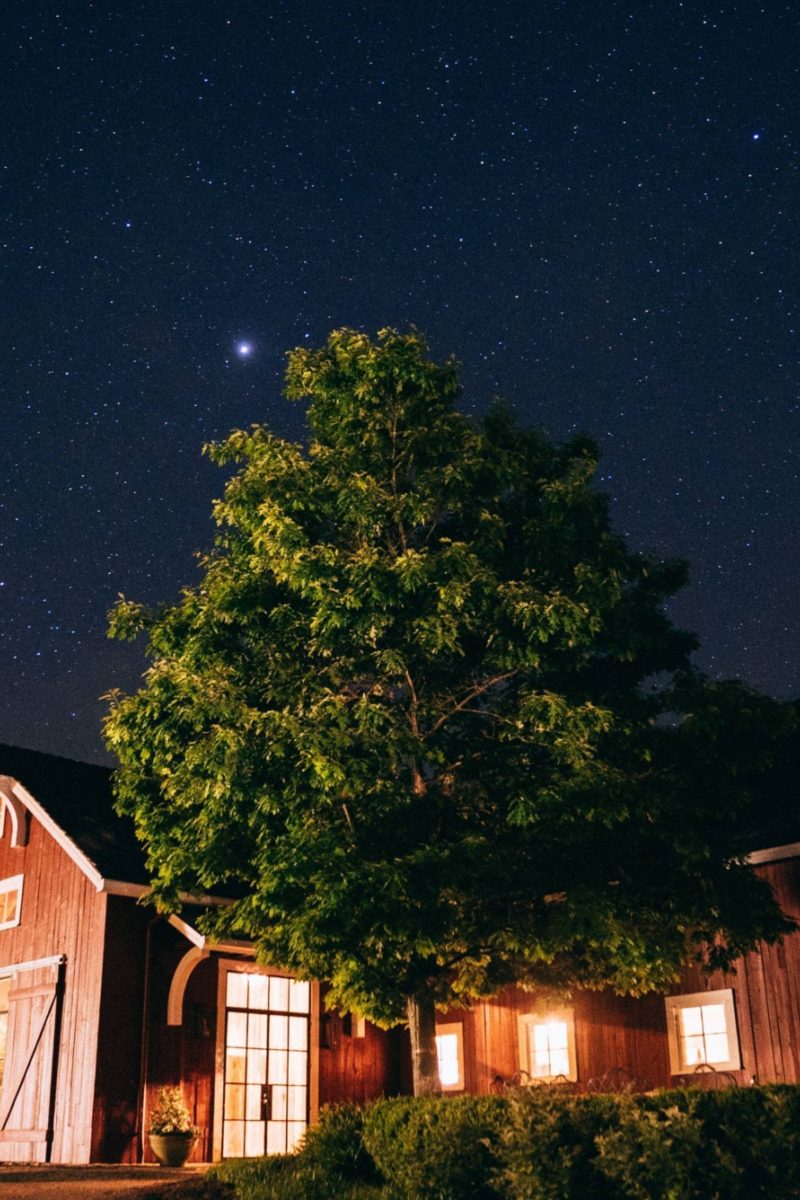 Discover Summer Constellations