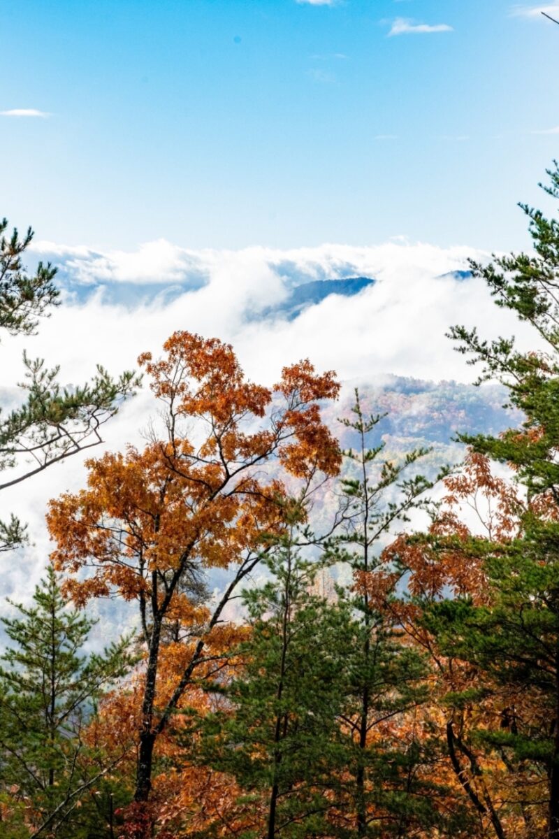 Autumn Approaches