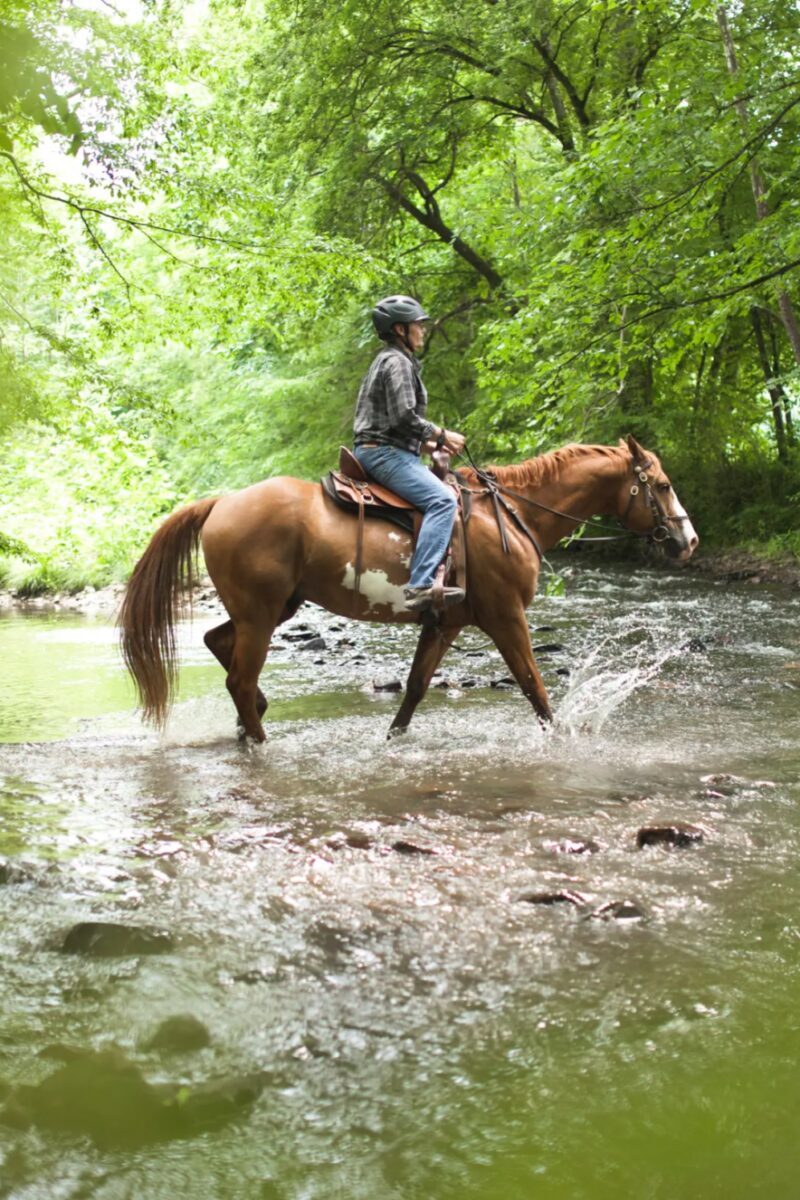 To Cross a Creek