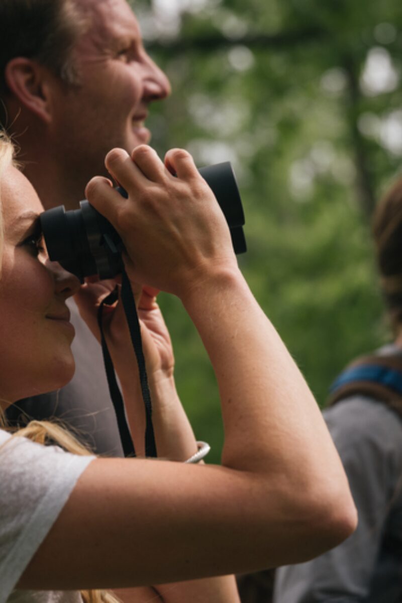 Birdwatching Through the Seasons