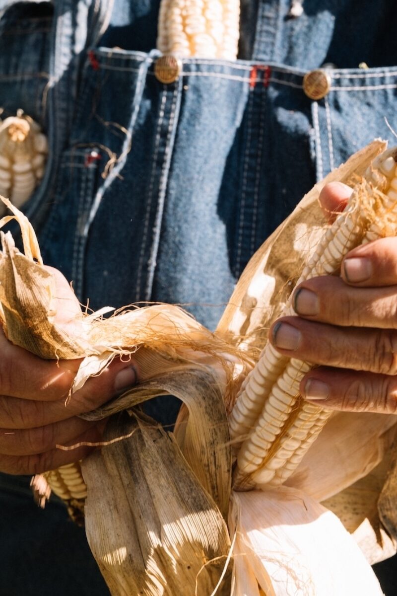 The Final Summer Harvest