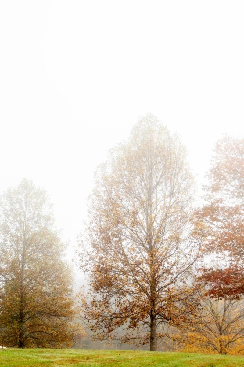 The First Cold Days of Fall