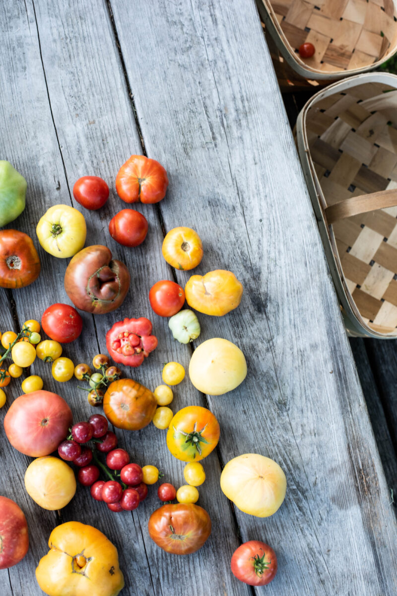 Tomato Tastings with John Coykendall