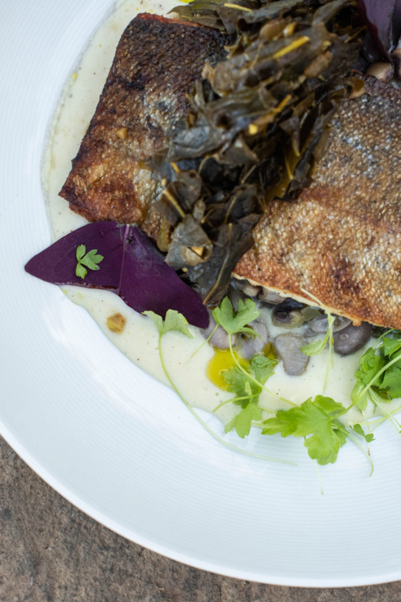 Seared Trout from the Main House